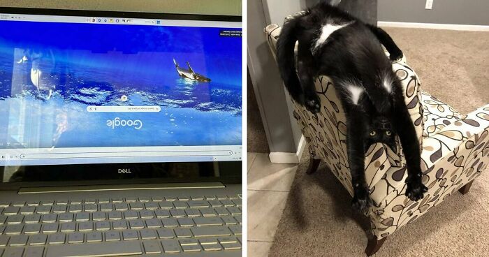 61 Weird Upside-Down Things That Might Make You Want To Fix Them Immediately