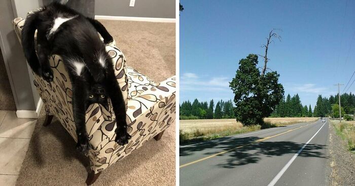 61 Weird Upside-Down Things That Might Make You Want To Fix Them Immediately