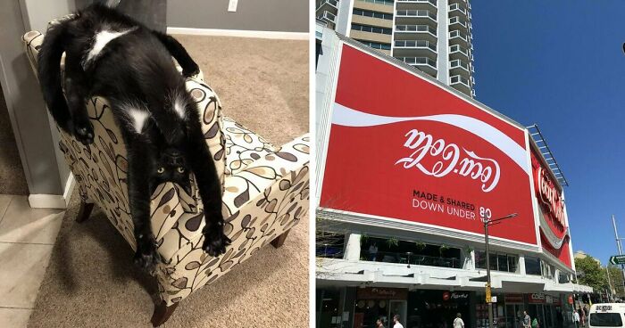 61 Weird Upside-Down Things That Might Make You Want To Fix Them Immediately