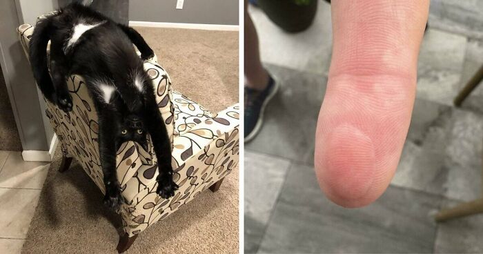 61 Weird Upside-Down Things That Might Make You Want To Fix Them Immediately