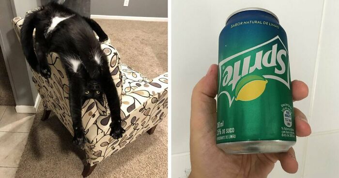 61 Weird Upside-Down Things That Might Make You Want To Fix Them Immediately