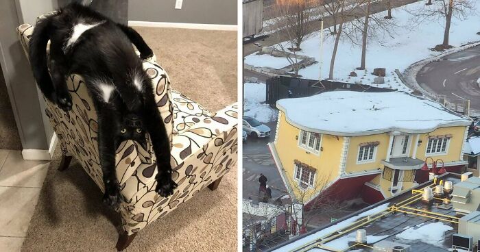 61 Weird Upside-Down Things That Might Make You Want To Fix Them Immediately