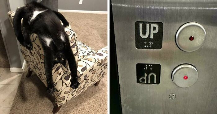 61 Weird Upside-Down Things That Might Make You Want To Fix Them Immediately