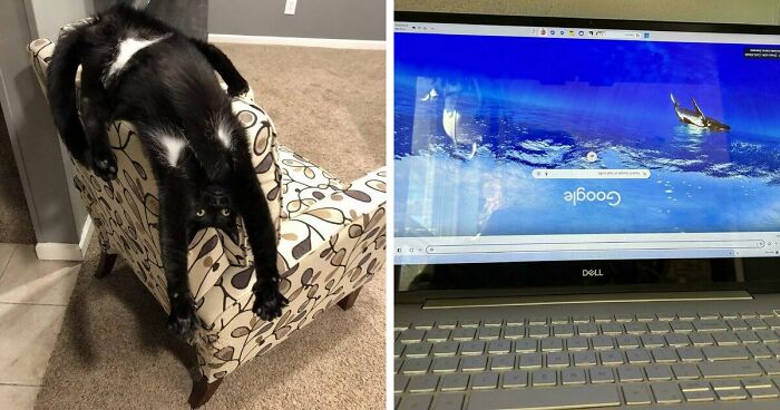 61 Weird Upside-Down Things That Might Make You Want To Fix Them Immediately