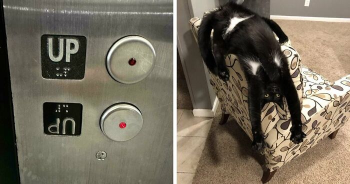 61 Weird Upside-Down Things That Might Make You Want To Fix Them Immediately