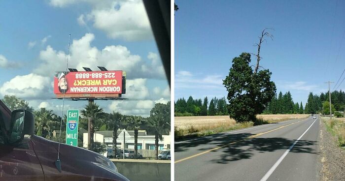 61 Weird Upside-Down Things That Might Make You Want To Fix Them Immediately