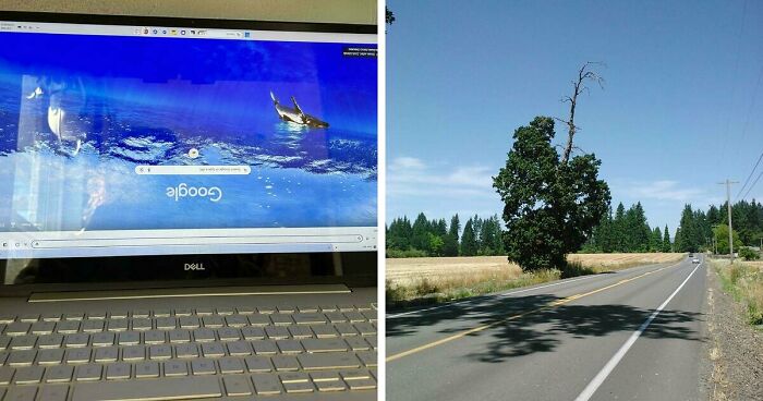 61 Weird Upside-Down Things That Might Make You Want To Fix Them Immediately