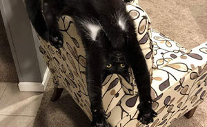 61 Pictures Of Things Upside Down To Make Your Head Spiral