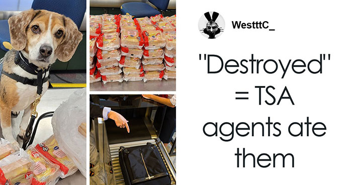 US Customs K-9 Beagle Becomes Viral Sensation After Catching Passenger With 100 Sandwiches