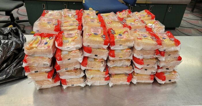 US Customs K-9 Beagle Becomes Viral Sensation After Catching Passenger With 100 Sandwiches