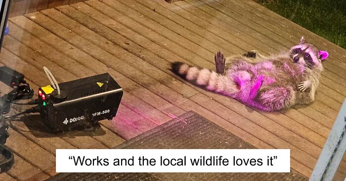 “This Eyeliner Won’t Run Around Like Your Man”: 77 Hilarious Amazon Reviews That Deserve 5 Stars