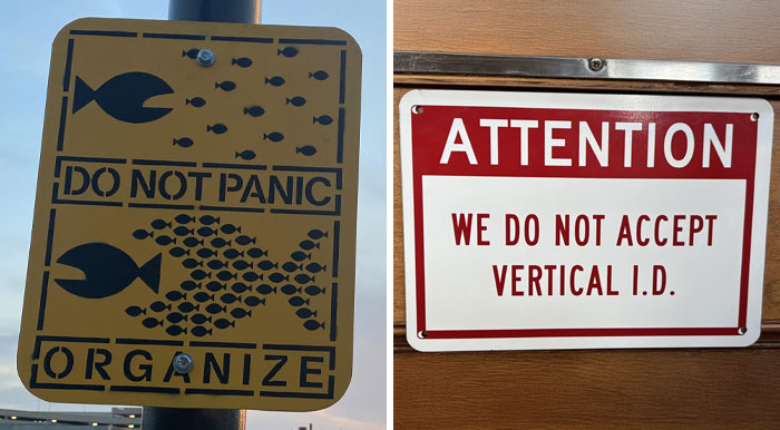 “There Are Bees”: 65 Signs That Are As Confusing As They Are Funny (New Pics)