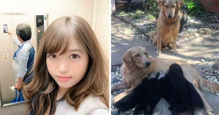 “Hmmm”: 77 Weird, Confusing, And Cursed Images You Probably Won’t Be Able To Unsee (New Pics)