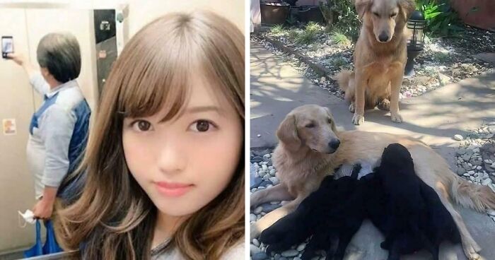 “Hmmm”: 77 Weird, Confusing, And Cursed Images You Probably Won’t Be Able To Unsee (New Pics)