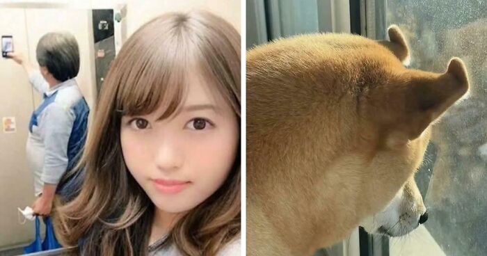 “Hmmm”: 77 Weird, Confusing, And Cursed Images You Probably Won’t Be Able To Unsee (New Pics)