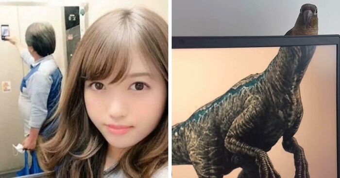 “Hmmm”: 77 Weird, Confusing, And Cursed Images You Probably Won’t Be Able To Unsee (New Pics)