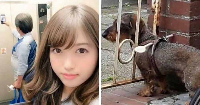 “Hmmm”: 77 Weird, Confusing, And Cursed Images You Probably Won’t Be Able To Unsee (New Pics)