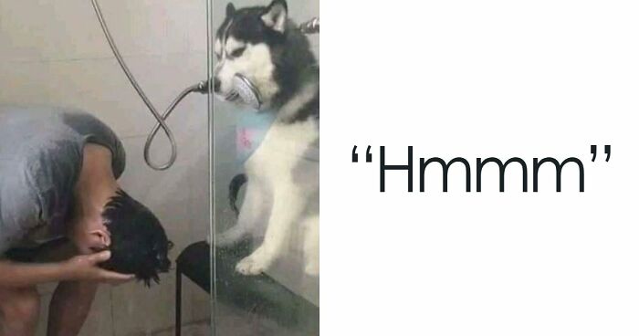 “Hmmm”: 77 Weird, Confusing, And Cursed Images You Probably Won’t Be Able To Unsee (New Pics)