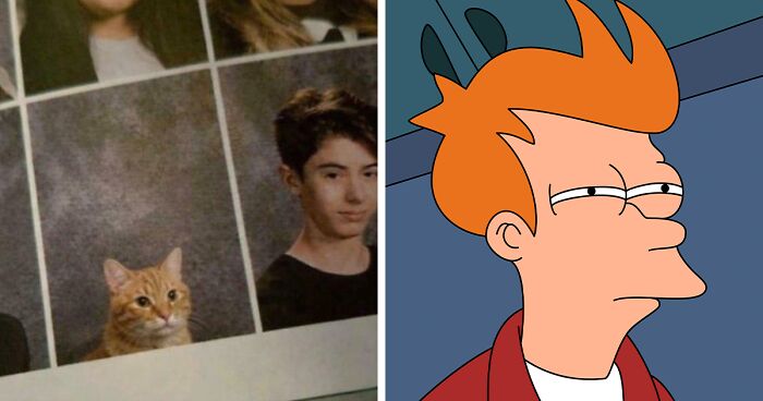 “Hmmm”: 77 Weird, Confusing, And Cursed Images You Probably Won’t Be Able To Unsee (New Pics)