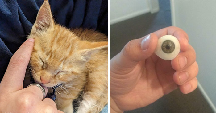 “Every Day Is An Adventure”: 49 Strange And Disturbing Things Found In Elevator Pits