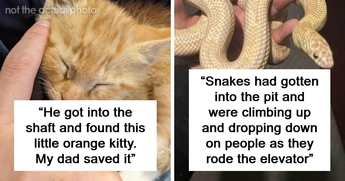 “Every Day Is An Adventure”: 49 Strange And Disturbing Things Found In Elevator Pits