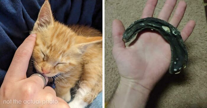 49 Odd Things Elevator Maintenance Workers Found In Shafts That Left Them Speechless