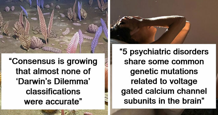 49 Scientists Share Their Biggest Theories That Are Not Yet Proven