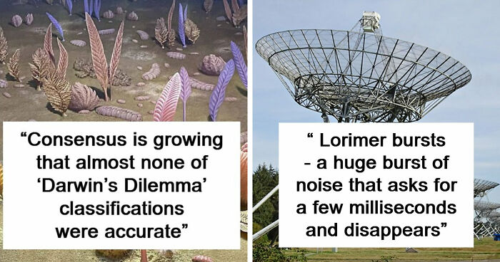 49 Scientists Share Their Biggest Theories That Are Not Yet Proven