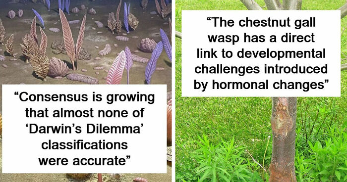 49 Scientists Share Their Biggest Theories That Are Not Yet Proven