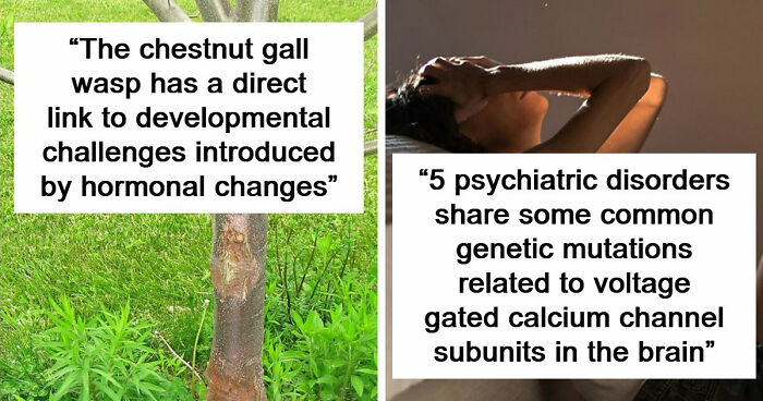 49 Scientists Share Their Biggest Theories That Are Not Yet Proven