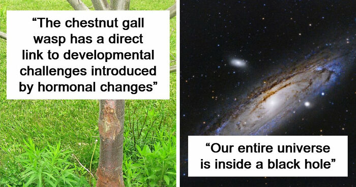 49 Scientists Share Their Biggest Theories That Are Not Yet Proven