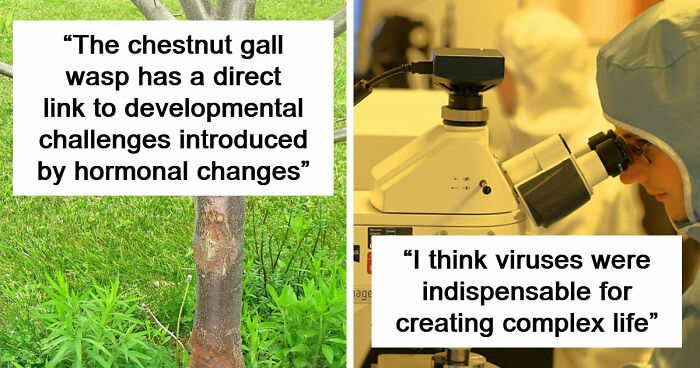 49 Scientists Share Their Biggest Theories That Are Not Yet Proven