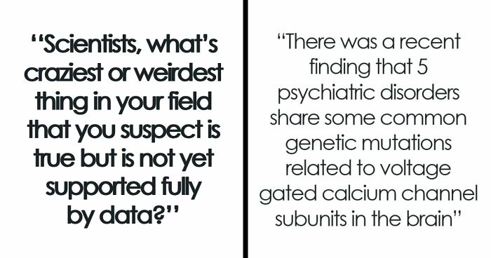 49 Scientists Share Their Biggest Theories That Are Not Yet Proven