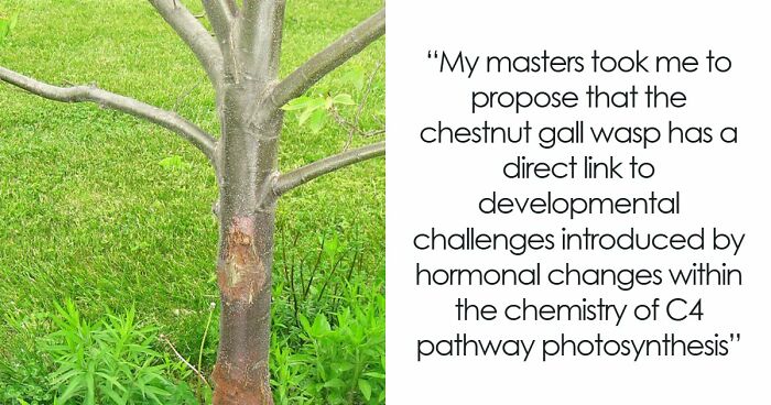 49 Scientists Share Their Biggest Theories That Are Not Yet Proven