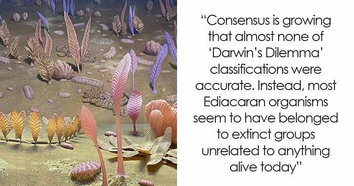 49 Scientists Share Their Biggest Theories That Are Not Yet Proven