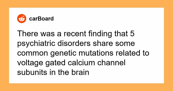 49 Scientists Share Their Biggest Theories That Are Not Yet Proven