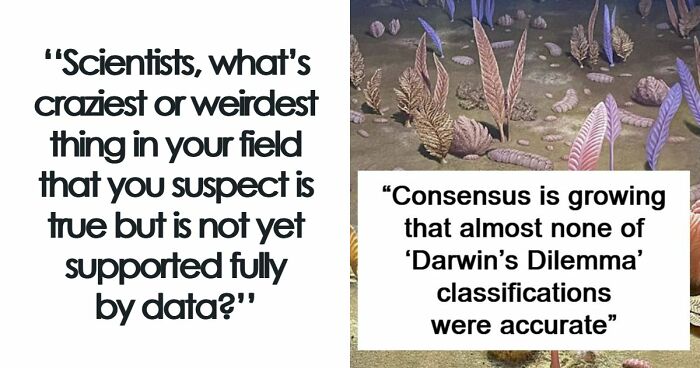 49 Scientists Share Their Biggest Theories That Are Not Yet Proven