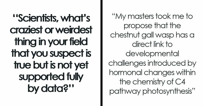 49 Scientists Share Their Biggest Theories That Are Not Yet Proven