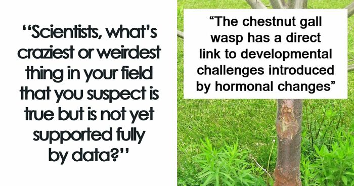 49 Scientists Share Their Biggest Theories That Are Not Yet Proven