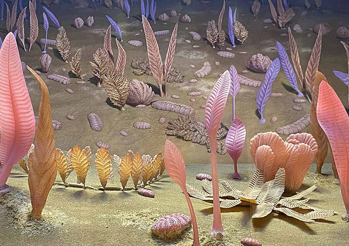Ancient marine organisms resembling plants in a prehistoric scene illustrating unproven scientific theories shared by experts.