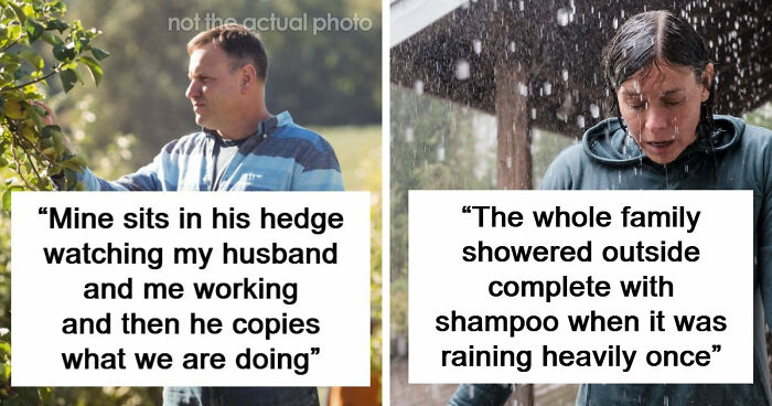 “No Curtains Or Anything”: 57 Wildest Things People Saw Their Neighbors Do