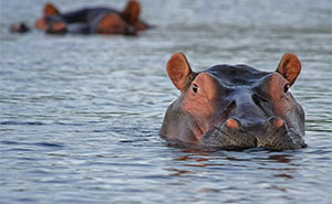 If You Can Finish This 30-Question Millionaire Quiz, You’re Smarter Than Most Players