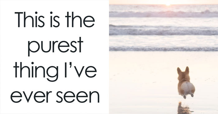 53 Wholesome Posts And Memes To Show You A Different Side Of The Internet