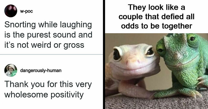53 Wholesome Internet Finds That Might Just Lift Your Mood