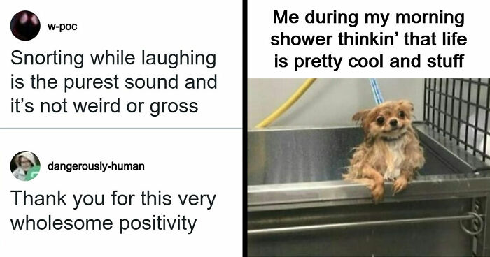 53 Wholesome Internet Finds That Might Just Lift Your Mood