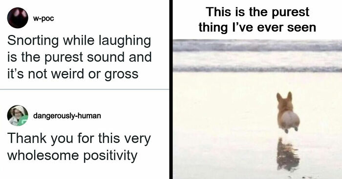 53 Wholesome Internet Finds That Might Just Lift Your Mood