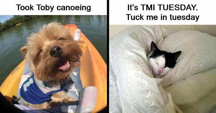 53 Wholesome Posts And Memes To Show You A Different Side Of The Internet