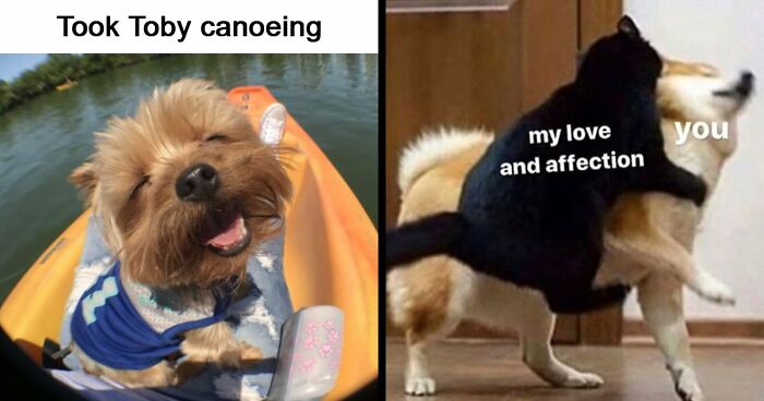 53 Wholesome Posts And Memes To Show You A Different Side Of The Internet