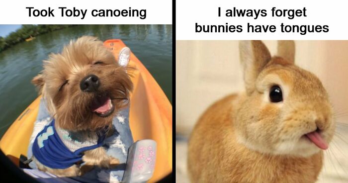 53 Wholesome Posts And Memes To Show You A Different Side Of The Internet