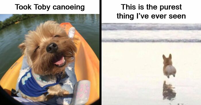 53 Wholesome Posts And Memes To Show You A Different Side Of The Internet